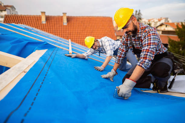 Best Roof Waterproofing Services  in Granvle, IL