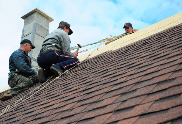 Best Metal Roofing Contractor  in Granvle, IL